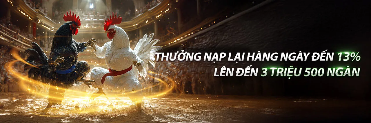 Cá cược thể thao tv88 22vip